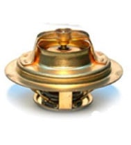 Brass Thermostat
